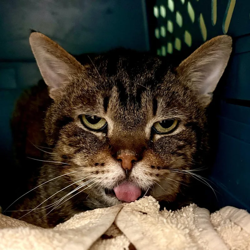 Little Feet thumbnail 4