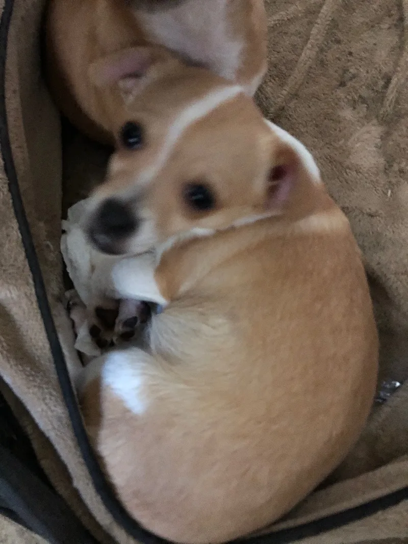 Maria And Pedro thumbnail 2