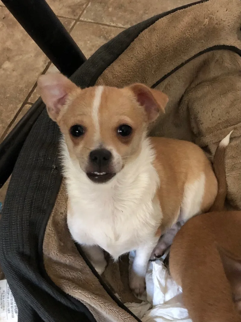 Maria And Pedro thumbnail 3