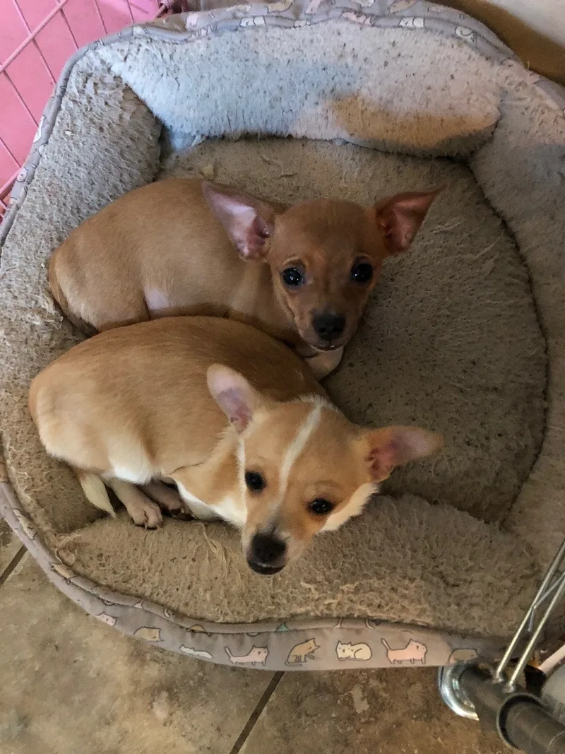 Maria And Pedro thumbnail 5