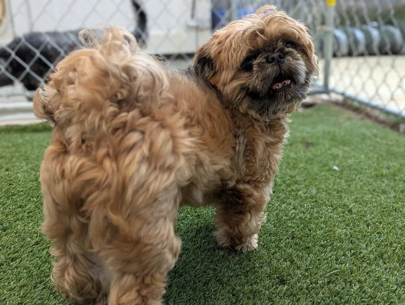 Winston Ewok  Colby thumbnail 2