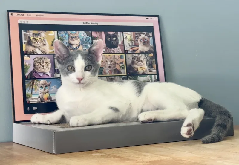 Leonard thumbnail 5