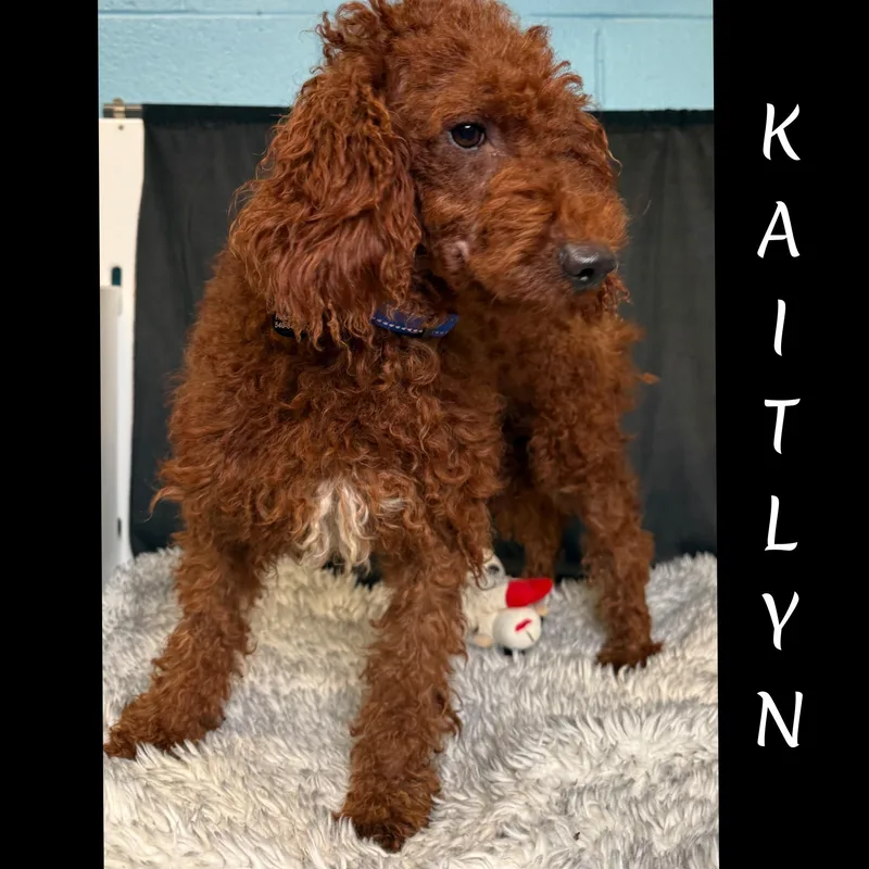 Kaitlyn thumbnail 6