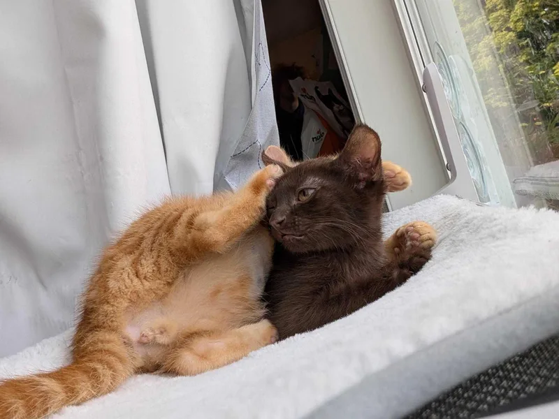 Steve and Howard thumbnail 3