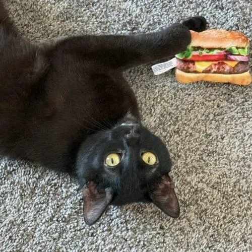 Burt Macklin thumbnail 2