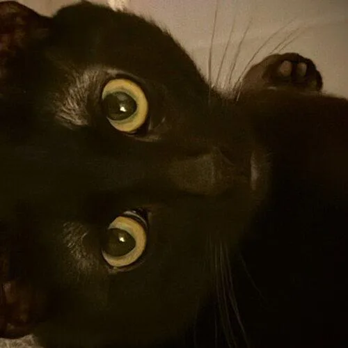 Burt Macklin thumbnail 5