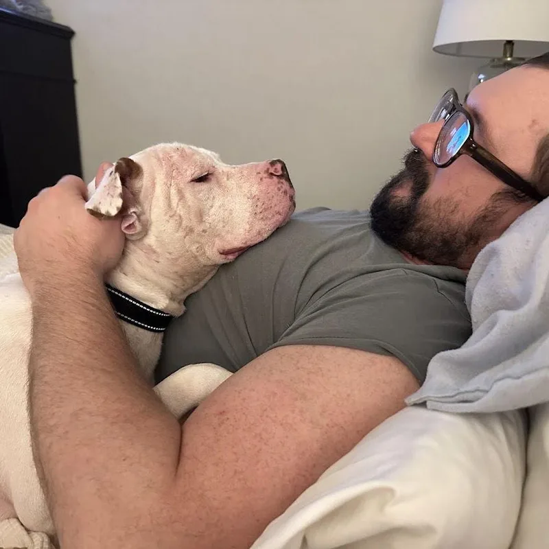 Hamilton Iv thumbnail 3