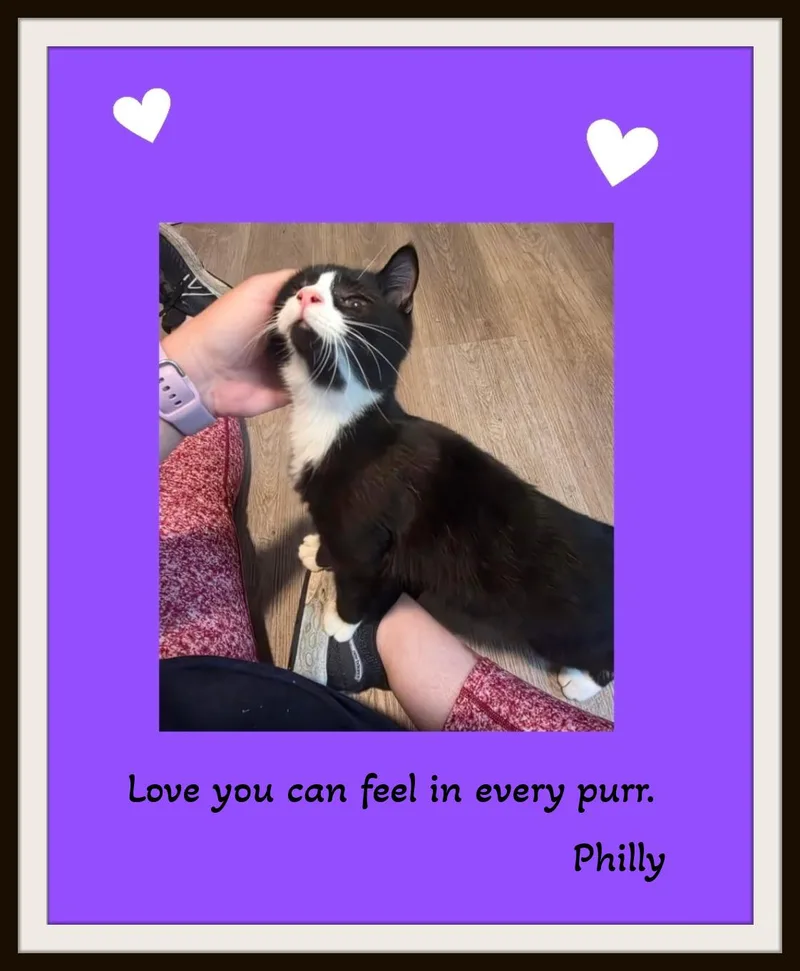 Meet Philly the sweetest thumbnail 2