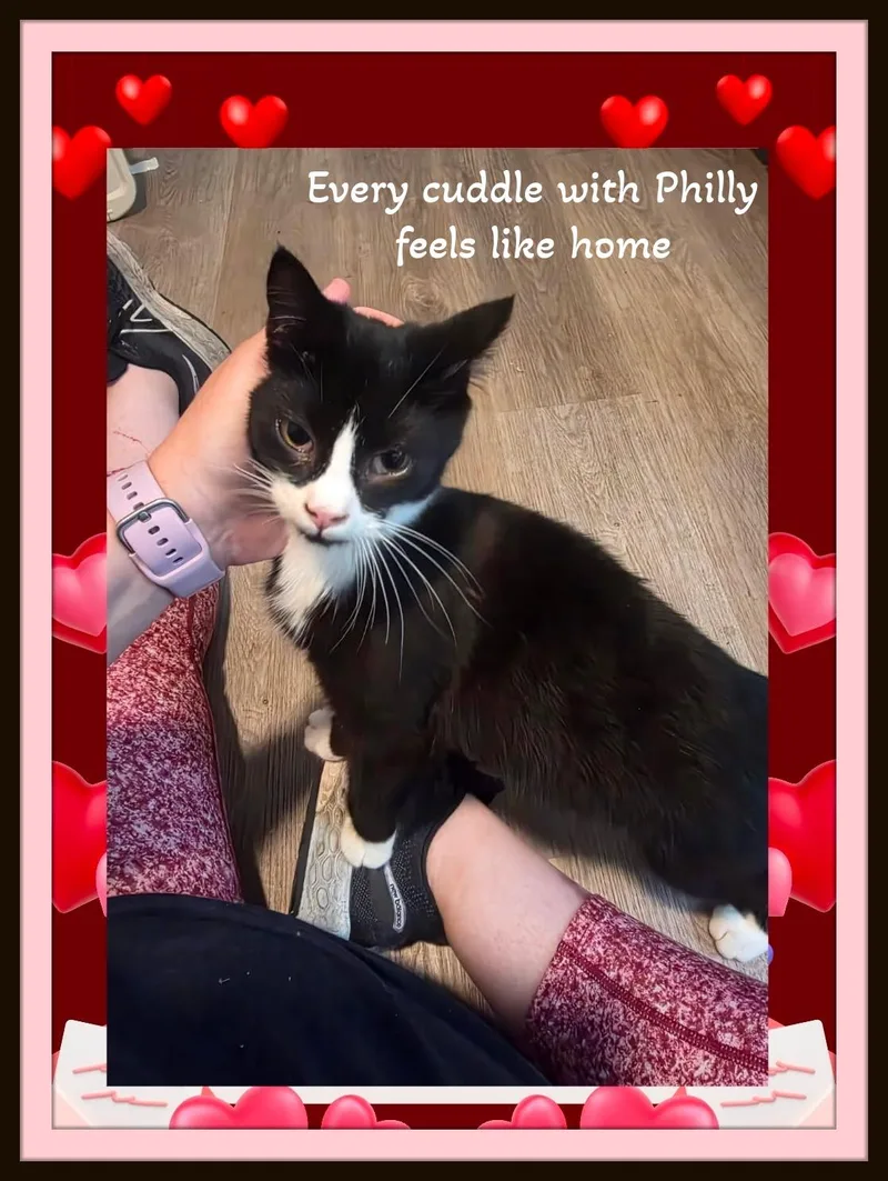 Meet Philly the sweetest thumbnail 3