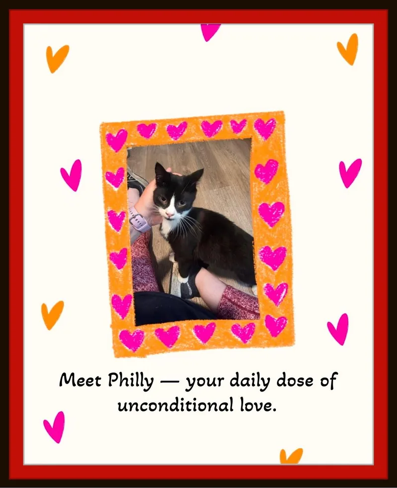 Meet Philly the sweetest thumbnail 4
