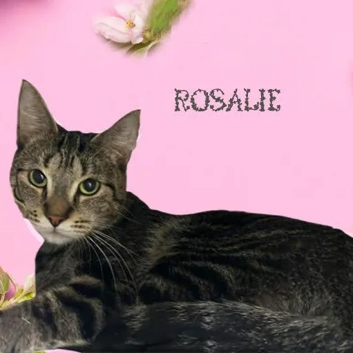 Rosalie