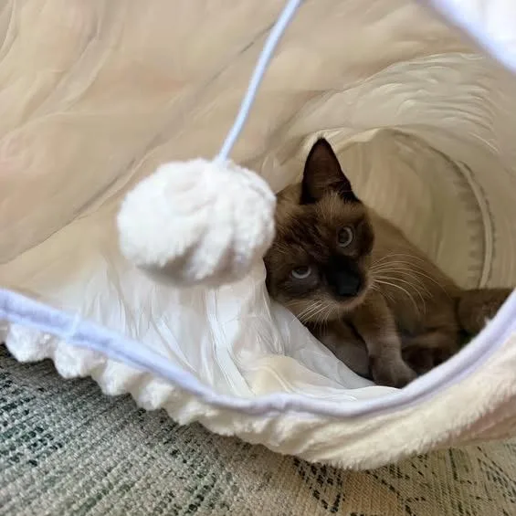 Button thumbnail 4