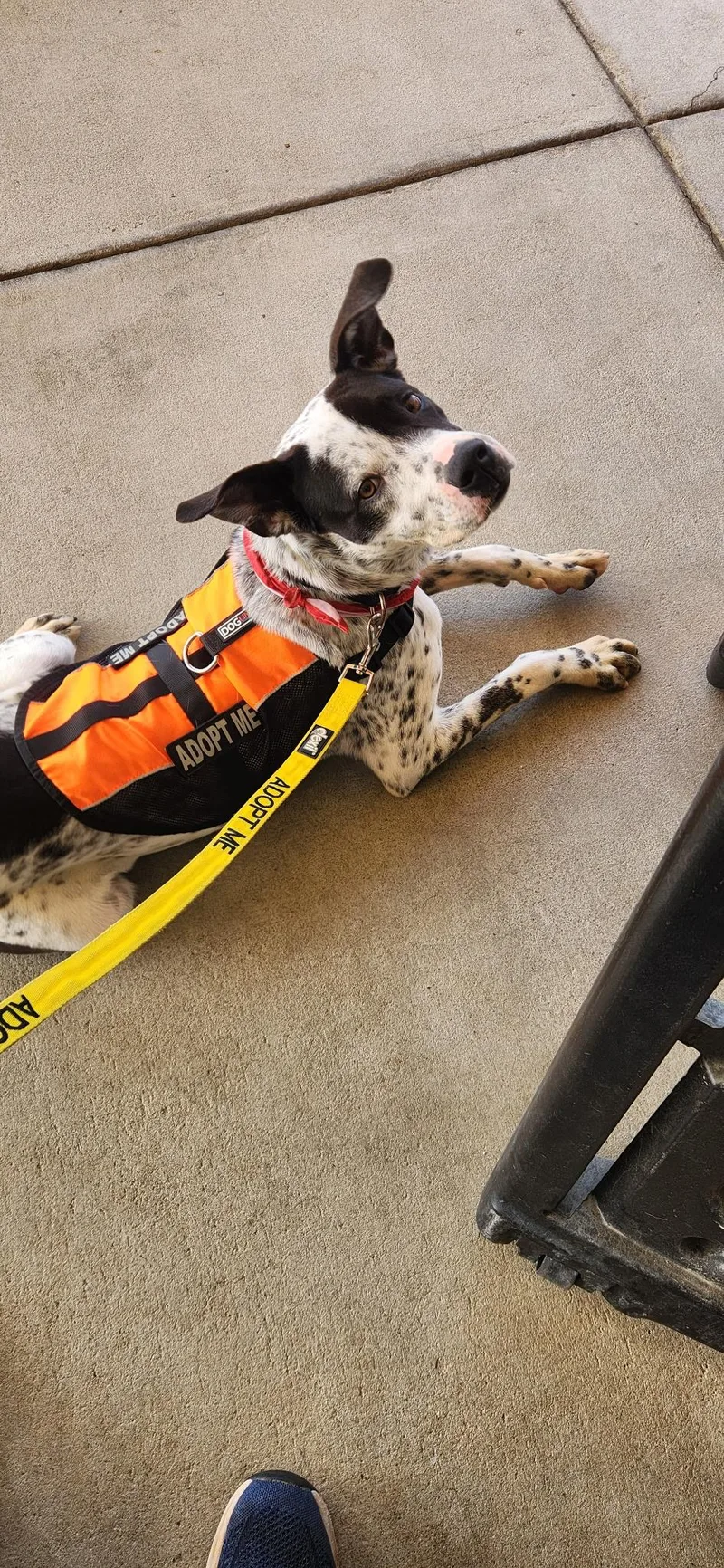 Heathcliff thumbnail 2