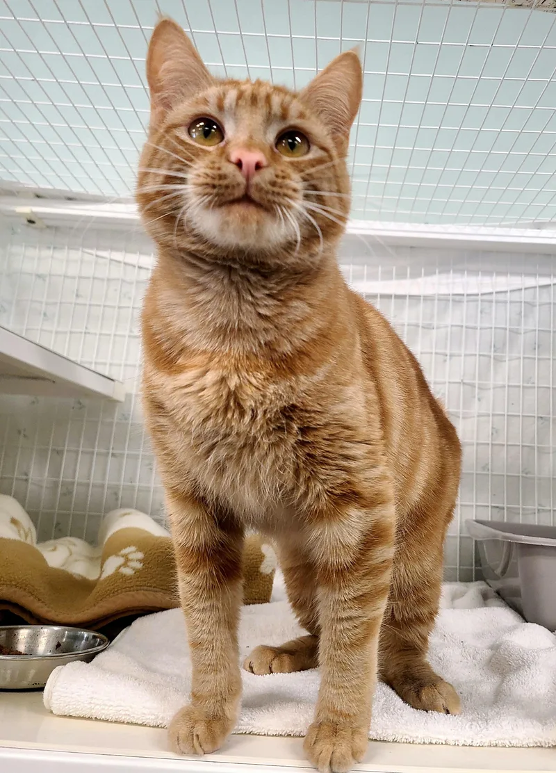 Prince Naveen thumbnail 2