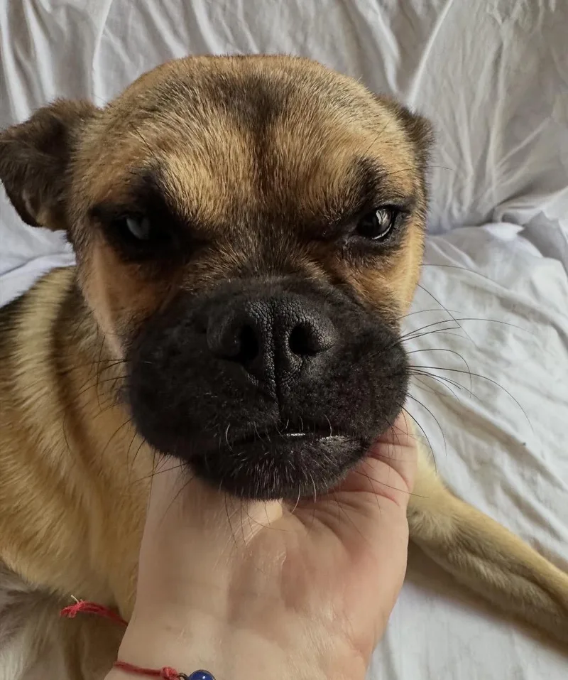 Fiona thumbnail 2