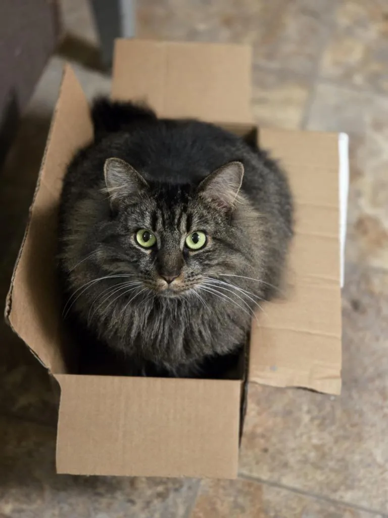 Tatianna thumbnail 2