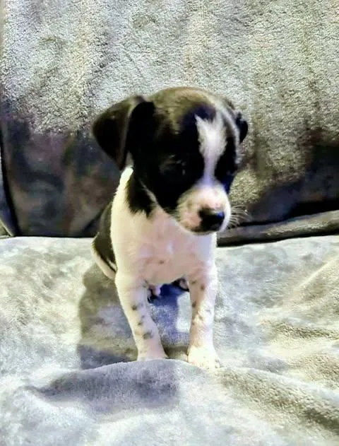 Noah Lane thumbnail 2