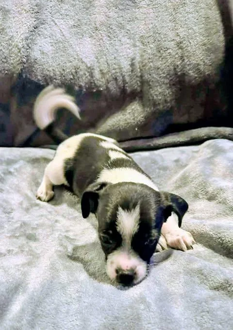 Noah Lane thumbnail 4