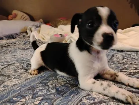 Noah Lane thumbnail 5