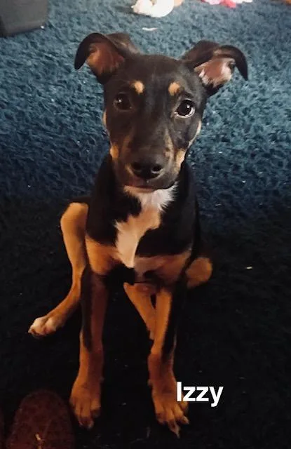 Izzy