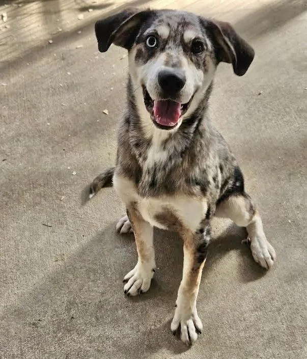 Maverick thumbnail 2