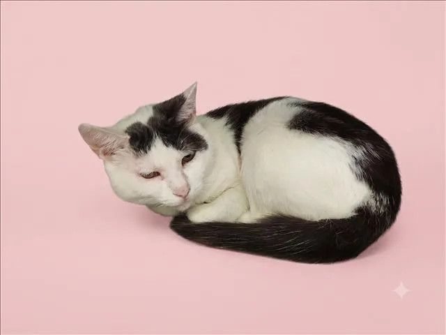Marluna