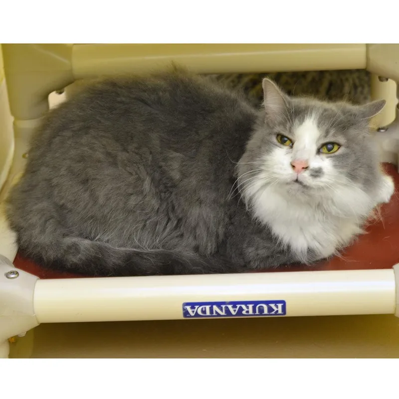 Floof thumbnail 2