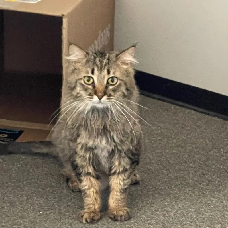 Cameron The Cutie thumbnail 4