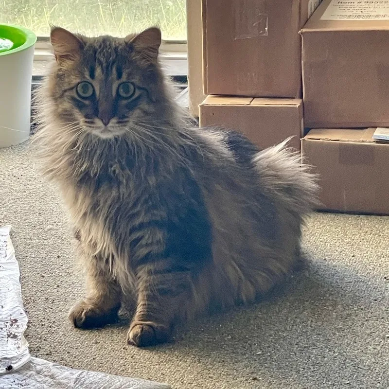 Cameron The Cutie thumbnail 5