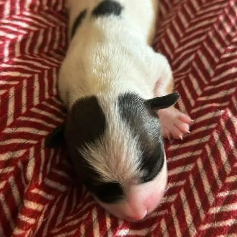 Nadine Lenore thumbnail 2