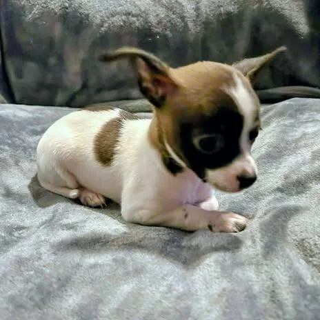 Nadine Lenore thumbnail 5