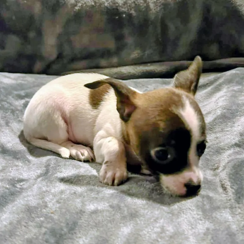 Nadine Lenore thumbnail 6