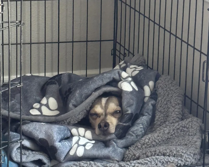 Goodyear thumbnail 2