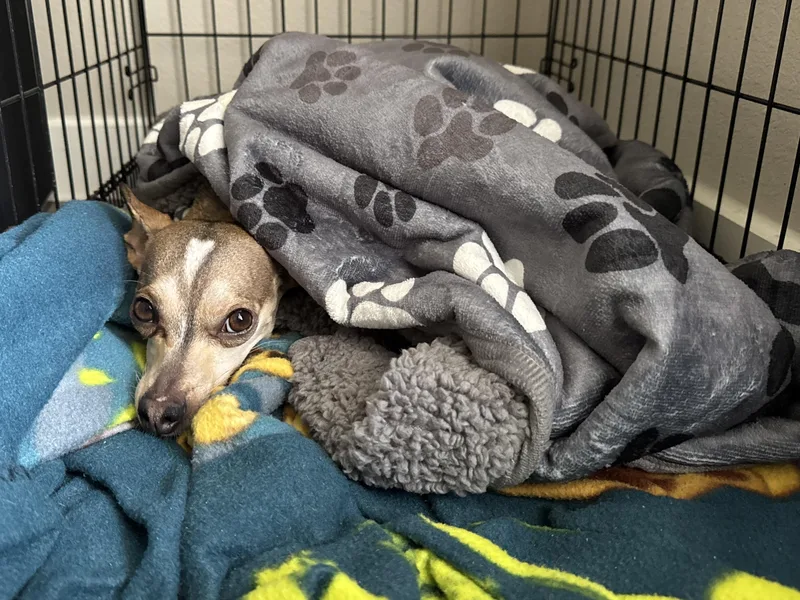 Goodyear thumbnail 5