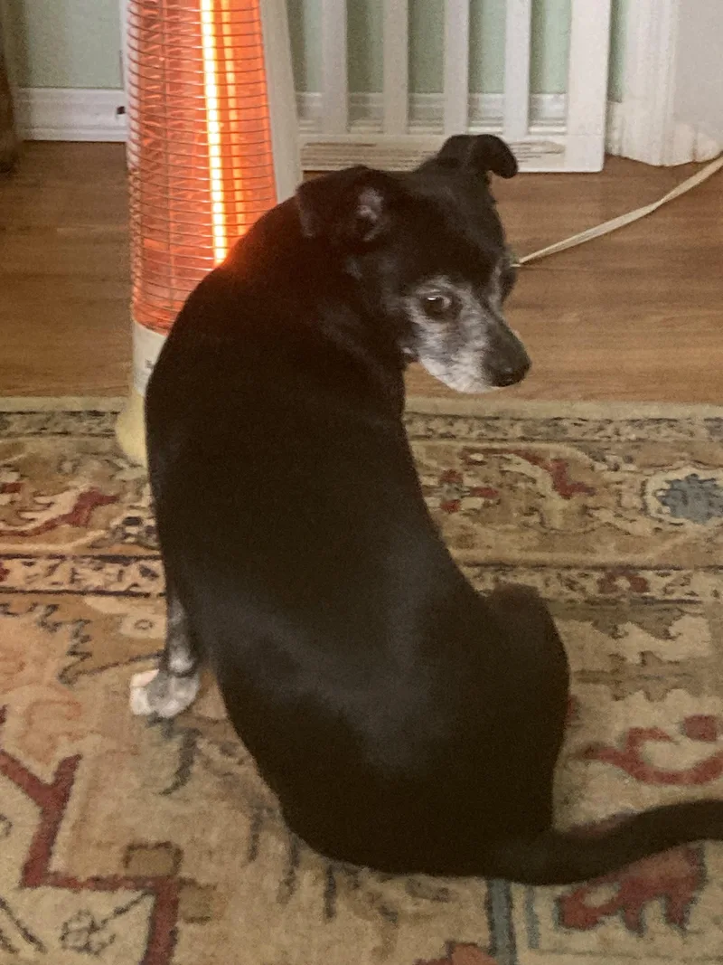 Cracker Jack thumbnail 2