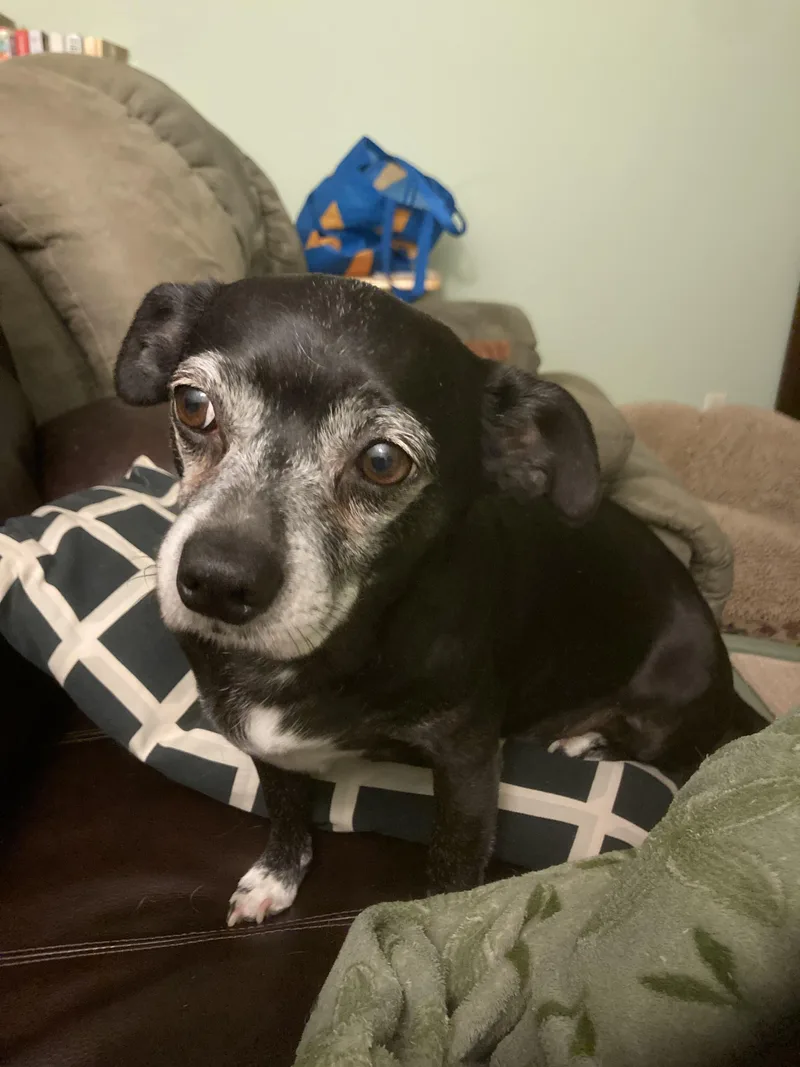 Cracker Jack thumbnail 3