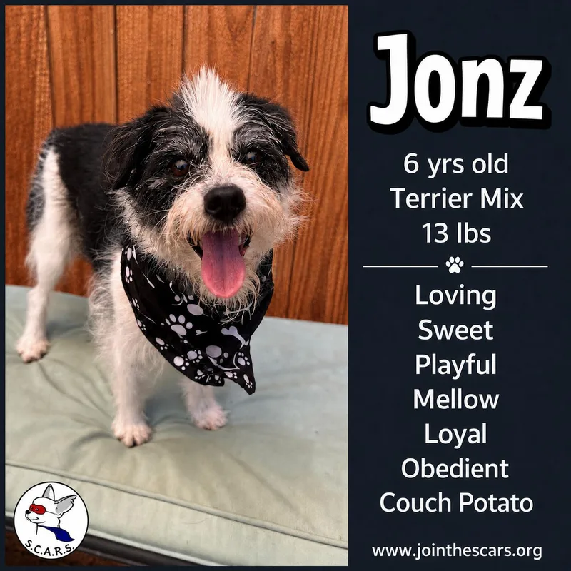 Jonz thumbnail 2