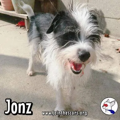 Jonz thumbnail 4