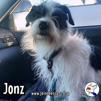 Jonz thumbnail 5