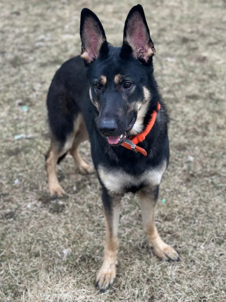 Gunner