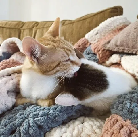 Peaches  bonded with thumbnail 4