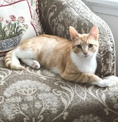 Peaches  bonded with thumbnail 6
