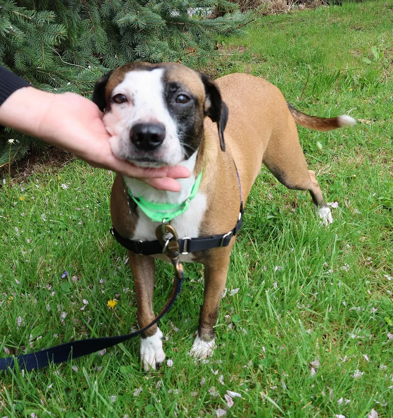 Victoria thumbnail 2