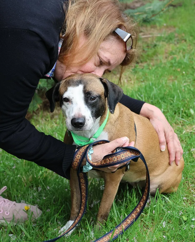 Victoria thumbnail 3