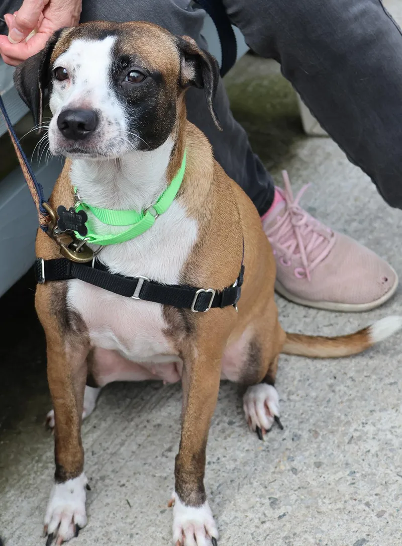 Victoria thumbnail 4