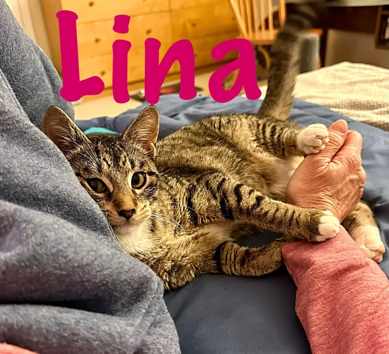 Lina