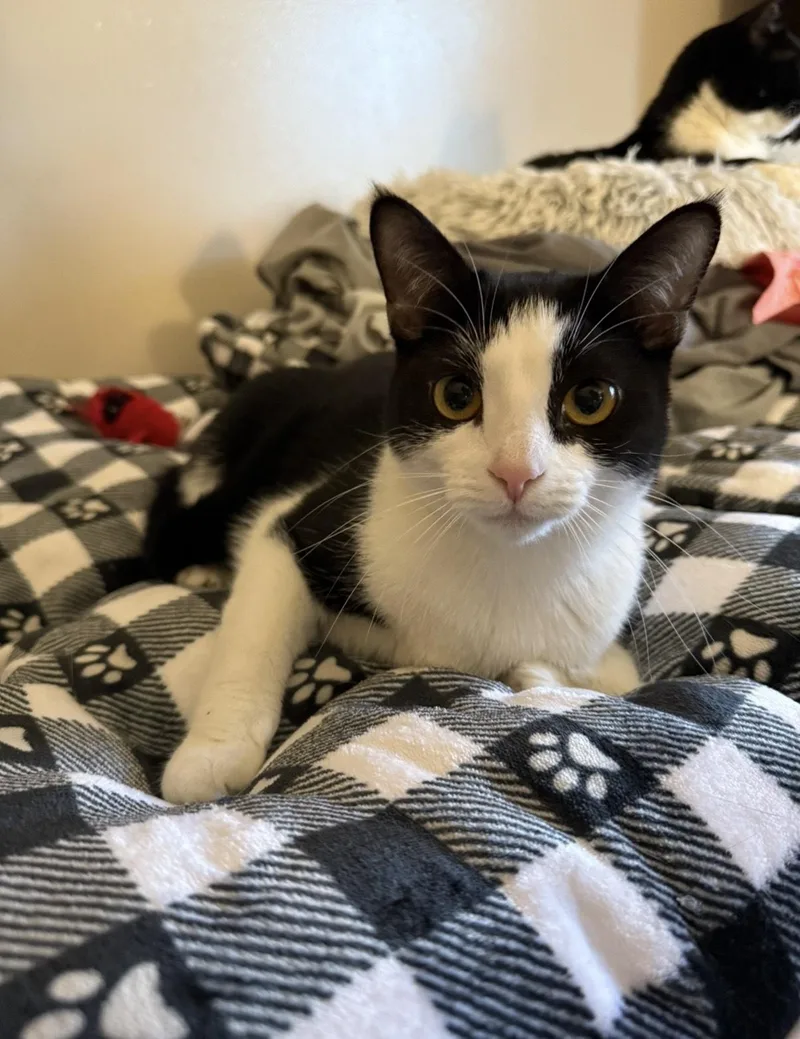 Simone & Serena thumbnail 2