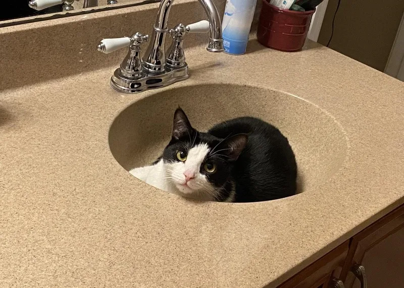 Simone & Serena thumbnail 3