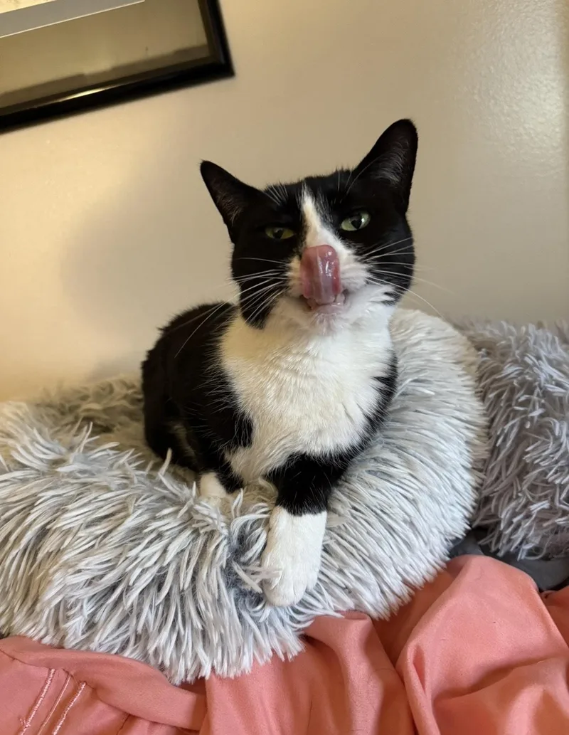 Simone & Serena thumbnail 6