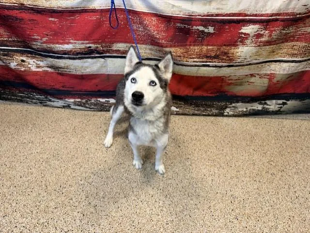 Luna